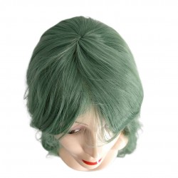 Ankara Kızılay Fiber Sentetik Peruk Tiyatro Peruğu Animasyon Peruğu Yeşil 